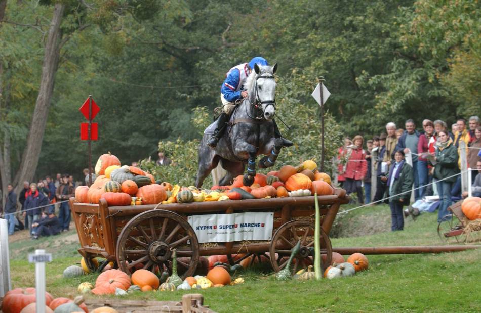 Mondial du Lion CROSS