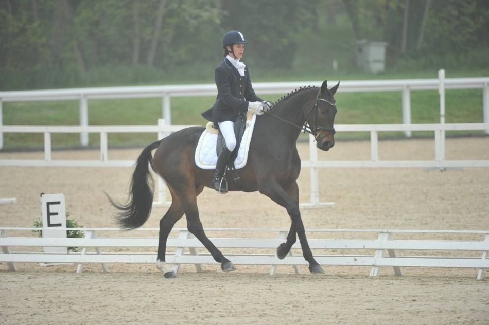 Dressage 4 ans